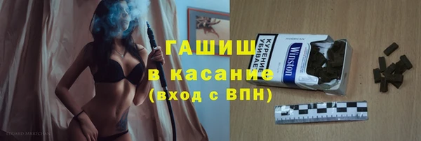 твердый Инсар
