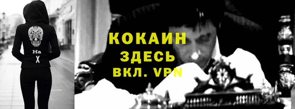 твердый Инсар