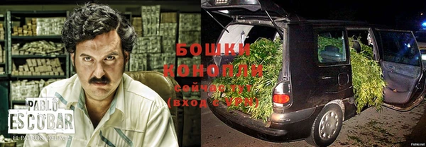 индика Иннополис