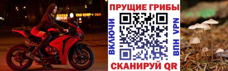 даркнет сайт  Кашира  Псилоцибиновые грибы MAGIC MUSHROOMS 